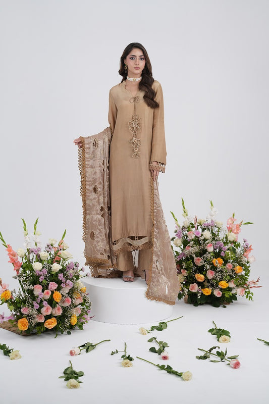 EARTHY COMB | FESTAL-3 | RJ’S PRET