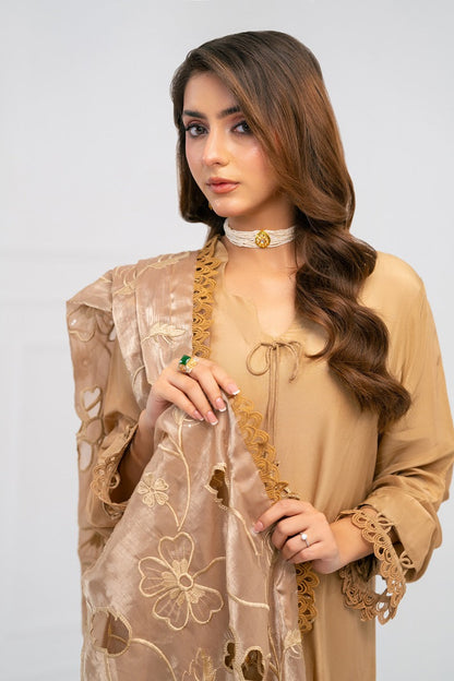 EARTHY COMB | FESTAL-3 | RJ’S PRET