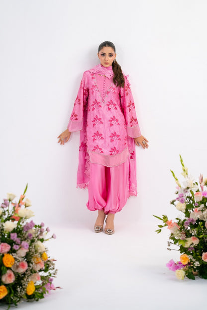 CANDY ROSE | FESTAL-3 | RJ’S PRET