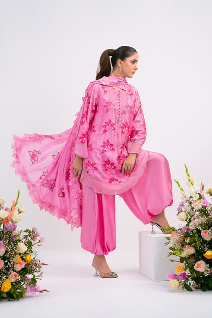 CANDY ROSE | FESTAL-3 | RJ’S PRET