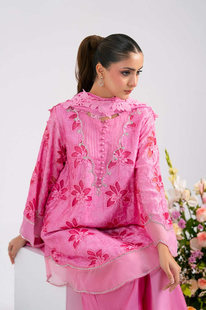CANDY ROSE | FESTAL-3 | RJ’S PRET