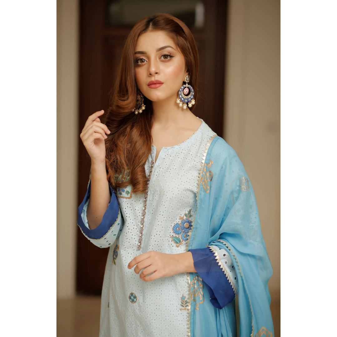 SHADES OF BLUE | RANG | RJ’S PRET