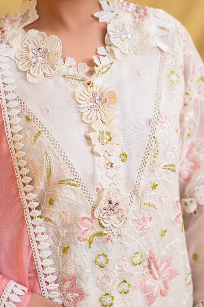 COOL HAZE| NOOREH| RJS PRET