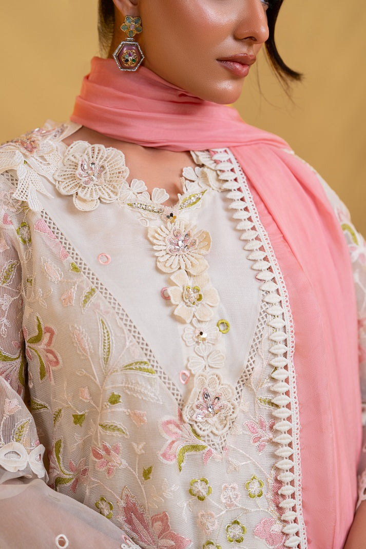 COOL HAZE| NOOREH| RJS PRET