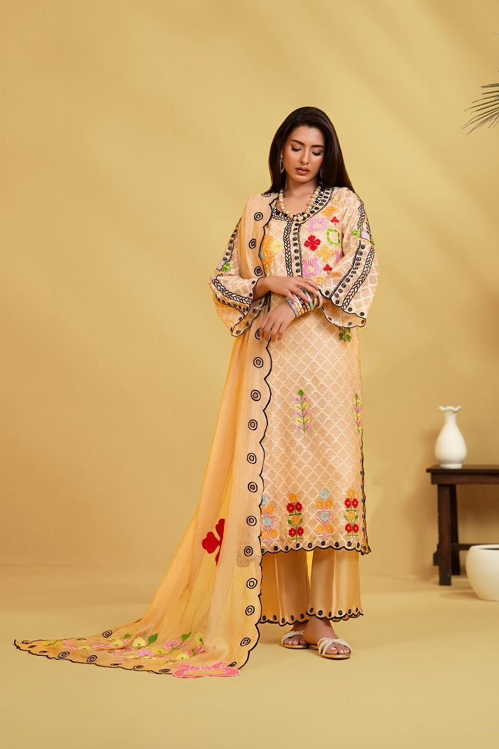 Plain Dupatta With Lace | Nooreh|Rjs Pret