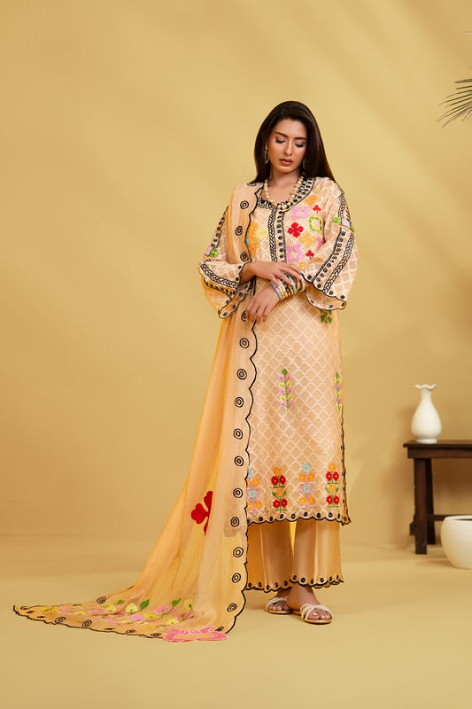 Plain Dupatta With Lace | Nooreh|Rjs Pret